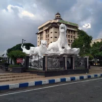 IMG-20240318-WA0005